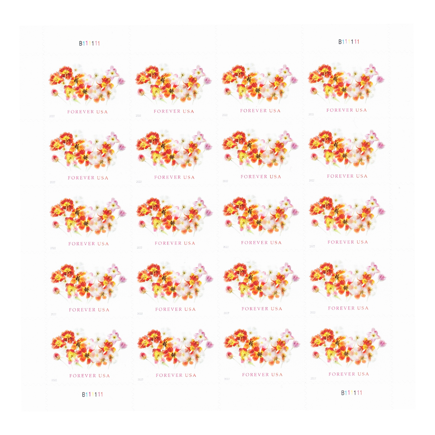 Tulips 2022