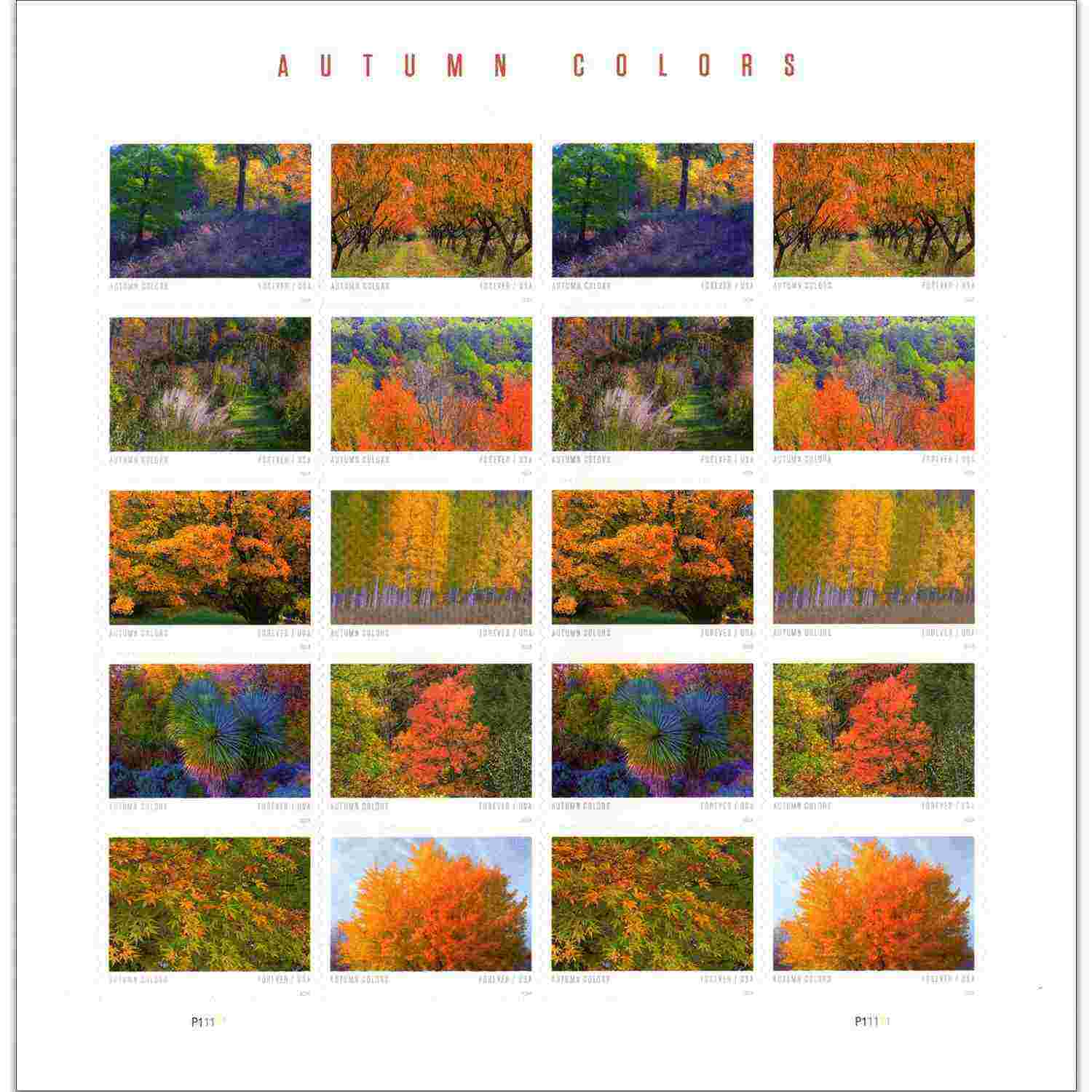 Autumn Colors